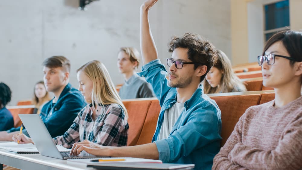 What is the Structure of a Visual Analysis Essay?